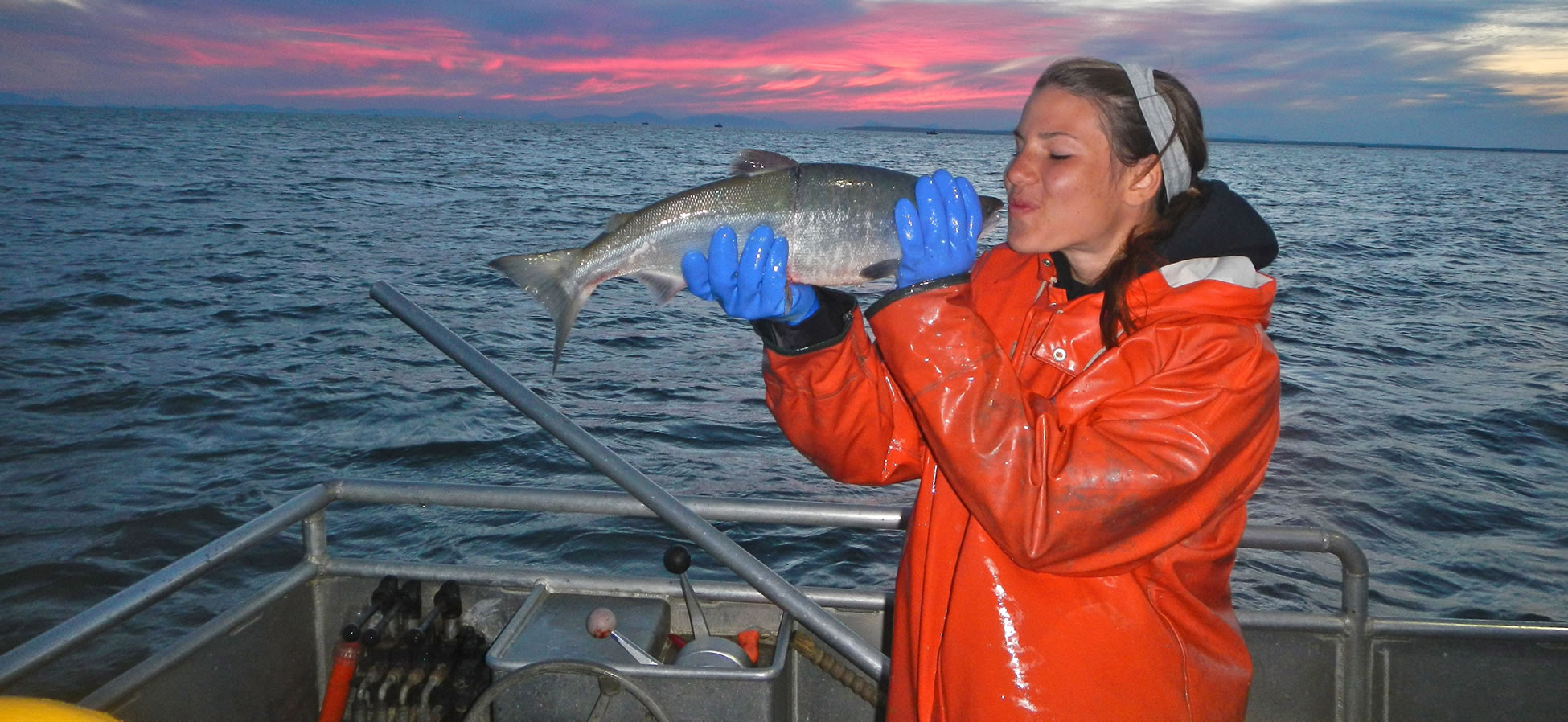 Sockeye Salmon  Alaska Seafood Marketing Institute