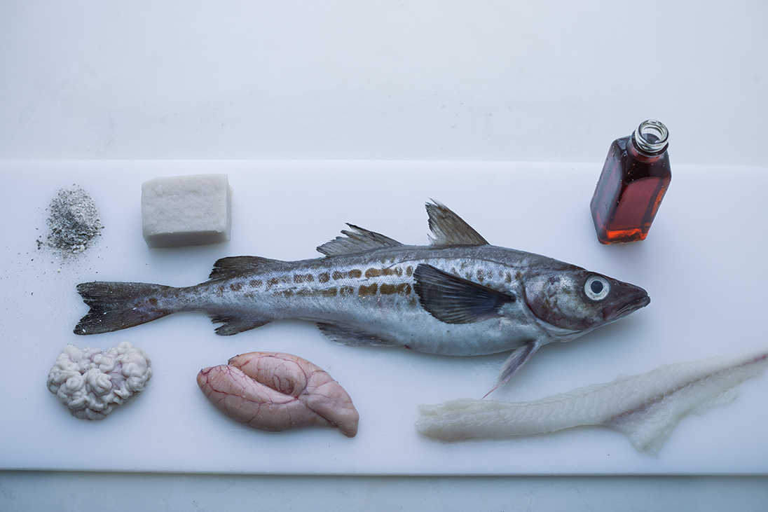 阿拉斯加狭鳕鱼