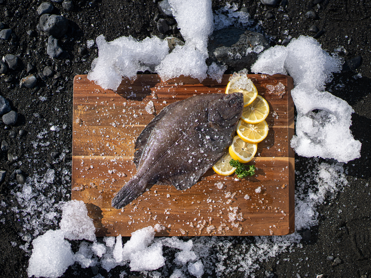 阿拉斯加黄金鲽